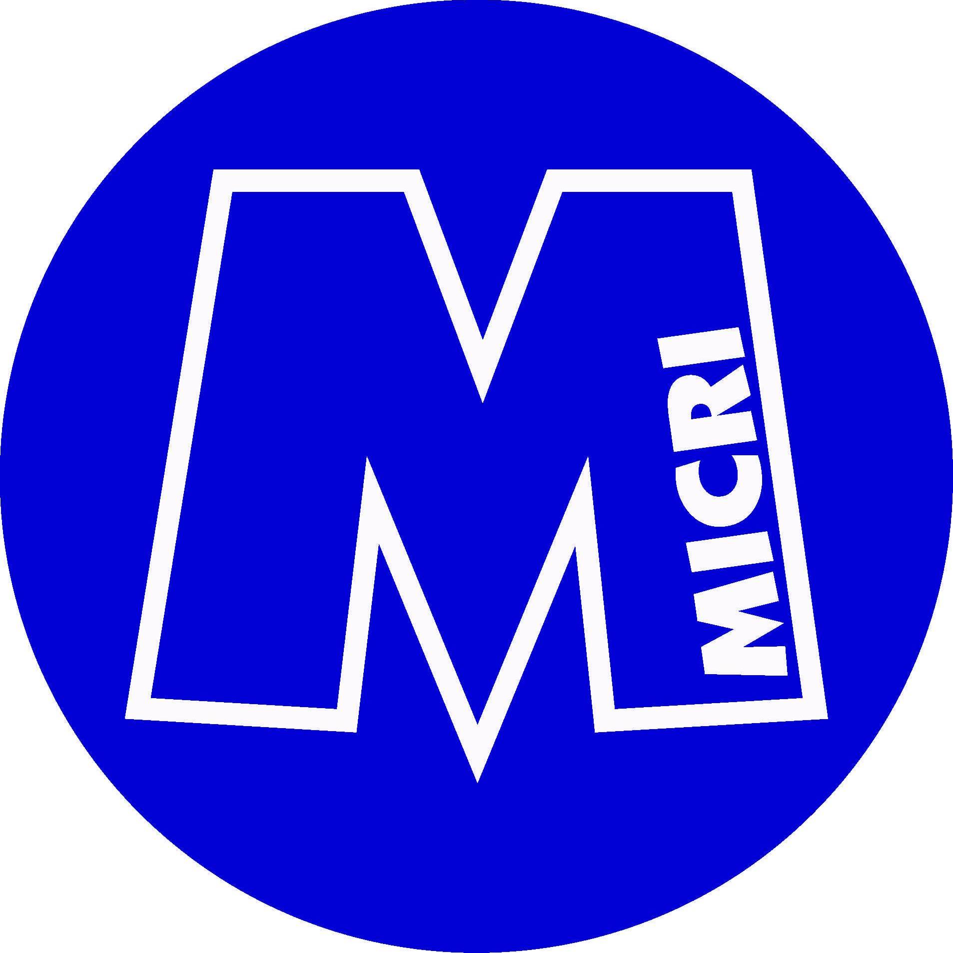 Micri Calcio